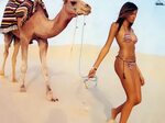 Download Wallpaper sand model brunette swimsuit desert camel